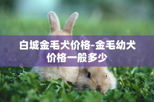 白城金毛犬價格-金毛幼犬價格一般多少