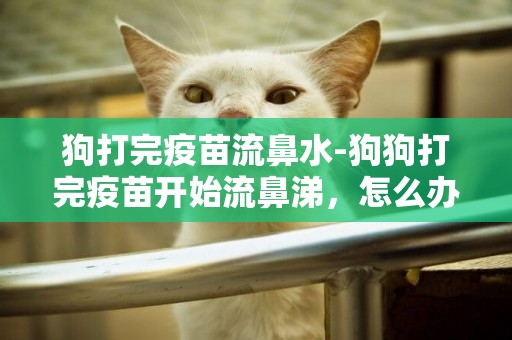 狗打完疫苗流鼻水-狗狗打完疫苗開始流鼻涕，怎么辦？