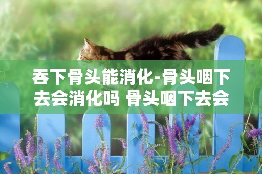吞下骨頭能消化-骨頭咽下去會消化嗎 骨頭咽下去會怎樣