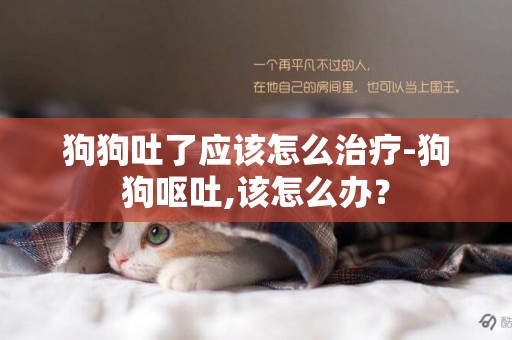 狗狗吐了應該怎么治療-狗狗嘔吐,該怎么辦？