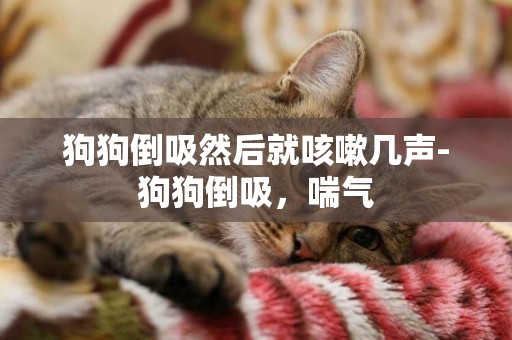 狗狗倒吸然后就咳嗽幾聲-狗狗倒吸，喘氣
