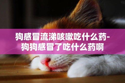 狗感冒流涕咳嗽吃什么藥-狗狗感冒了吃什么藥啊