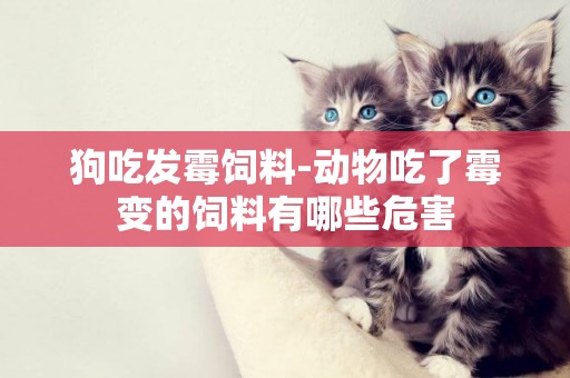 狗吃發霉飼料-動物吃了霉變的飼料有哪些危害