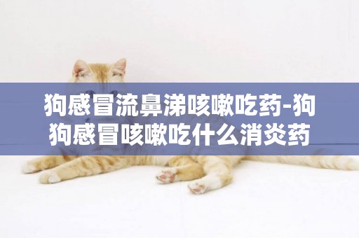 狗感冒流鼻涕咳嗽吃藥-狗狗感冒咳嗽吃什么消炎藥