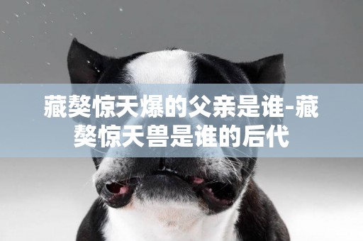 藏獒驚天爆的父親是誰-藏獒驚天獸是誰的后代
