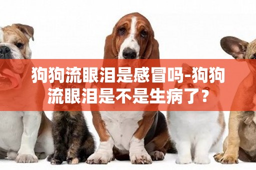 狗狗流眼淚是感冒嗎-狗狗流眼淚是不是生病了？