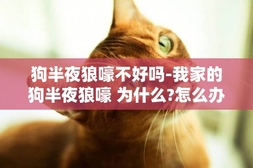 狗半夜狼嚎不好嗎-我家的狗半夜狼嚎 為什么?怎么辦?