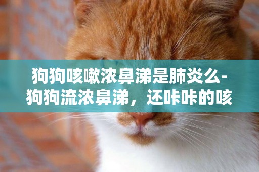 狗狗咳嗽濃鼻涕是肺炎么-狗狗流濃鼻涕，還咔咔的咳嗽