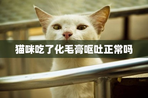 貓咪吃了化毛膏嘔吐正常嗎