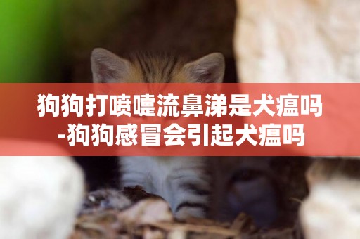 狗狗打噴嚏流鼻涕是犬瘟嗎-狗狗感冒會引起犬瘟嗎