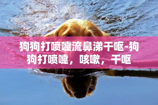狗狗打噴嚏流鼻涕干嘔-狗狗打噴嚏，咳嗽，干嘔