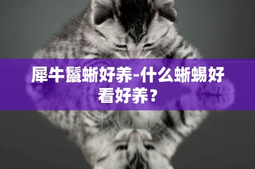 犀牛鬣蜥好養-什么蜥蜴好看好養？