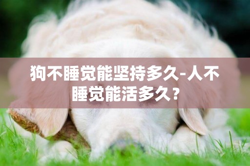 狗不睡覺能堅持多久-人不睡覺能活多久？
