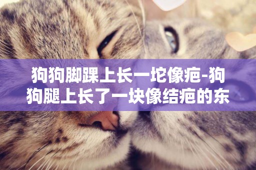 狗狗腳踝上長一坨像疤-狗狗腿上長了一塊像結疤的東西