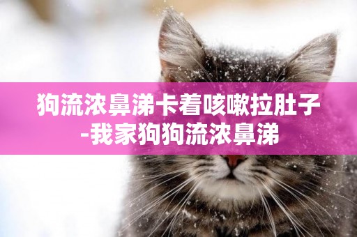 狗流濃鼻涕卡著咳嗽拉肚子-我家狗狗流濃鼻涕