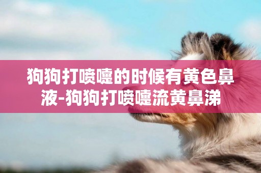 狗狗打噴嚏的時候有黃色鼻液-狗狗打噴嚏流黃鼻涕