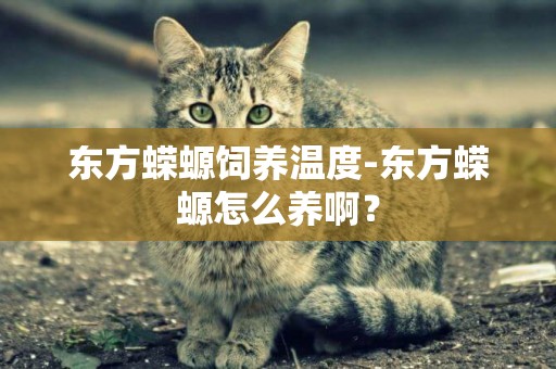 東方蠑螈飼養溫度-東方蠑螈怎么養啊？