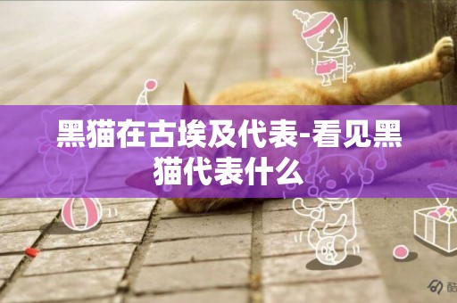 黑貓在古埃及代表-看見黑貓代表什么
