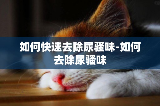 如何快速去除尿騷味-如何去除尿騷味