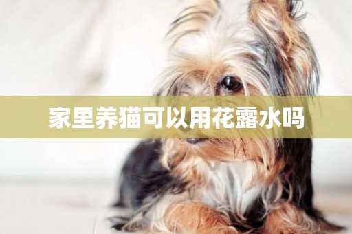 家里養貓可以用花露水嗎