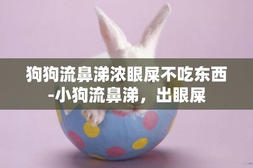 狗狗流鼻涕濃眼屎不吃東西-小狗流鼻涕，出眼屎