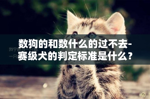 數狗的和數什么的過不去-賽級犬的判定標準是什么？