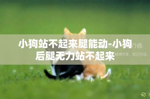 小狗站不起來腿能動-小狗后腿無力站不起來