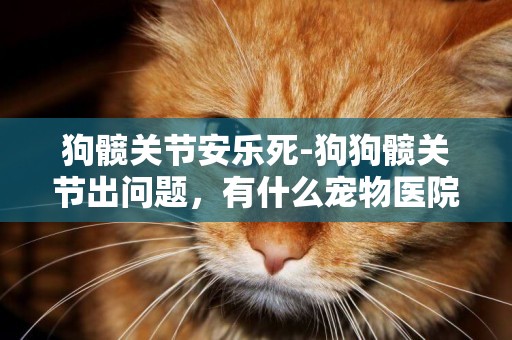 狗髖關節安樂死-狗狗髖關節出問題，有什么寵物醫院比較正規