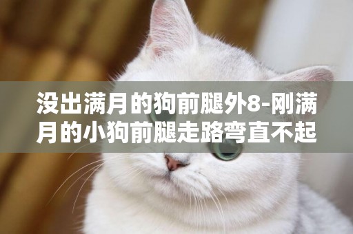 沒出滿月的狗前腿外8-剛滿月的小狗前腿走路彎直不起來是殘疾嗎
