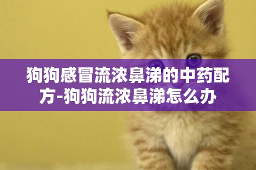 狗狗感冒流濃鼻涕的中藥配方-狗狗流濃鼻涕怎么辦