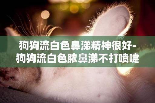 狗狗流白色鼻涕精神很好-狗狗流白色膿鼻涕不打噴嚏