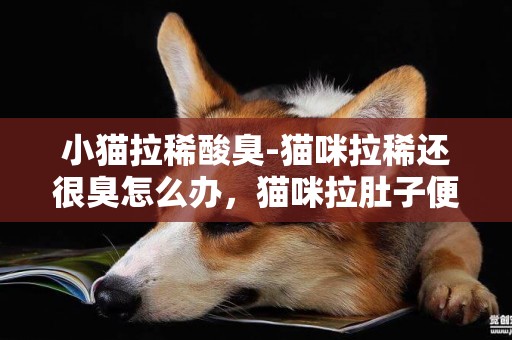 小貓拉稀酸臭-貓咪拉稀還很臭怎么辦，貓咪拉肚子便有臭味