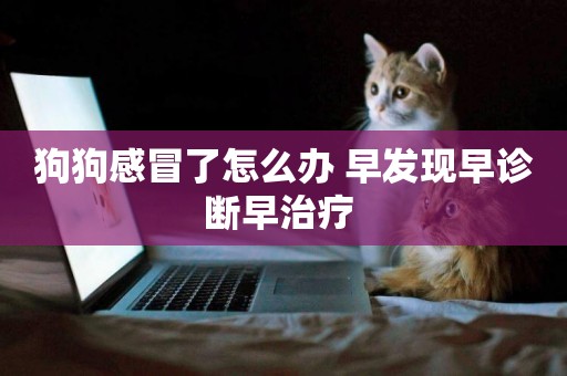 狗狗感冒了怎么辦 早發現早診斷早治療 