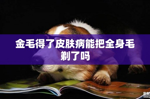 金毛得了皮膚病能把全身毛剃了嗎