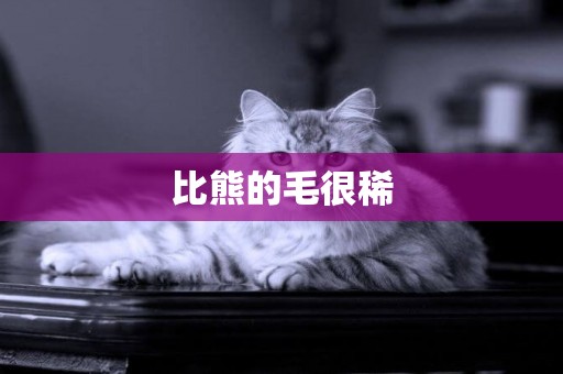 比熊的毛很稀