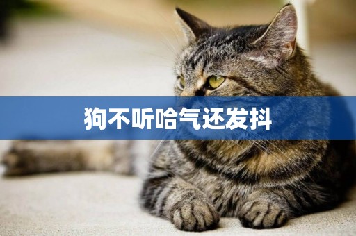 狗不聽哈氣還發抖