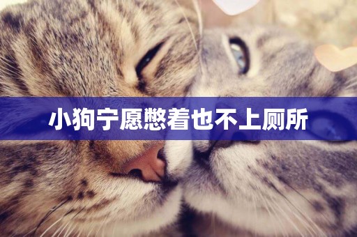 小狗寧愿憋著也不上廁所