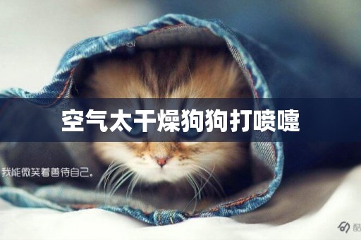 空氣太干燥狗狗打噴嚏