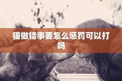 貓做錯事要怎么懲罰可以打嗎