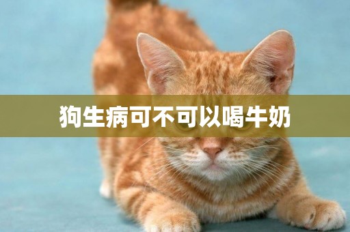 狗生病可不可以喝牛奶
