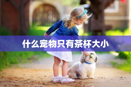 什么寵物只有茶杯大小