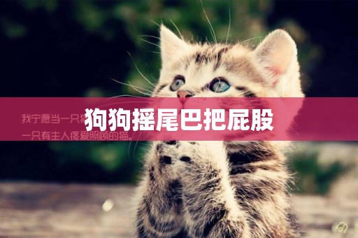 狗狗搖尾巴把屁股