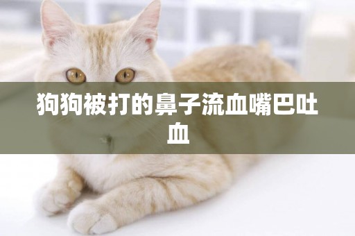 狗狗被打的鼻子流血嘴巴吐血