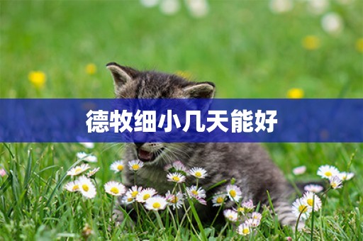德牧細小幾天能好