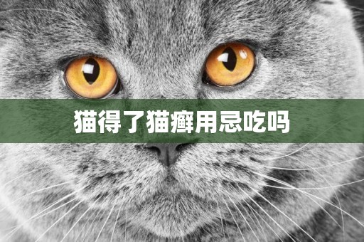 貓得了貓癬用忌吃嗎