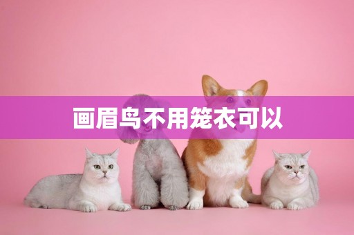 畫眉鳥不用籠衣可以