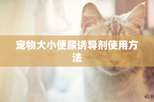 寵物大小便尿誘導劑使用方法