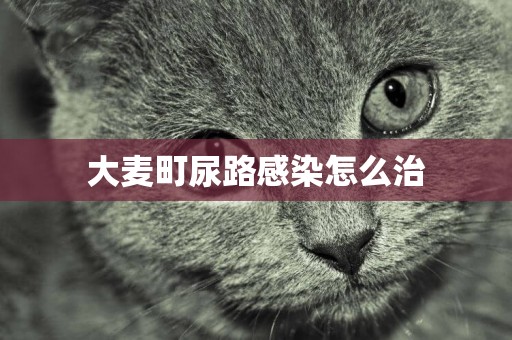 大麥町尿路感染怎么治