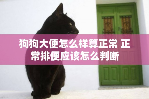 狗狗大便怎么樣算正常 正常排便應該怎么判斷