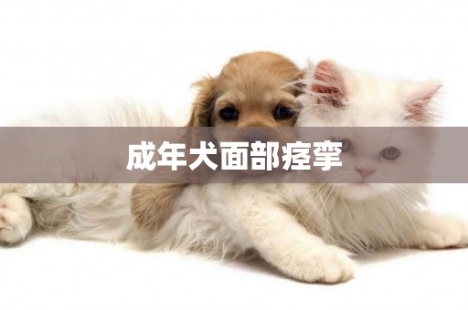 成年犬面部痙攣
